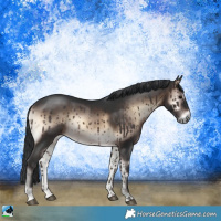 Horse Color:Brown Onyx Mushroom Rabicano 