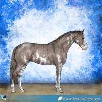 Horse Color:Liver Red Dun Mushroom Sabino Brindle