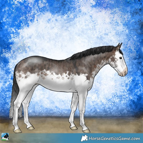 Horse Color:Brown Dun Mushroom Sabino Splash Rabicano Brindle 