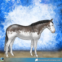 Horse Color:Brown Dun Mushroom Sabino Splash Rabicano Brindle 