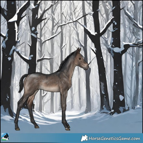 Horse Color:Brown Dun Mushroom Rabicano 