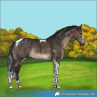 Horse Color:Brown Dun Tobiano Brindle 