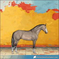 Horse Color:Brown Dun Appaloosa 