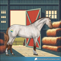 Horse Color:Liver Red Dun Roan Tobiano 