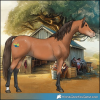 Horse Color:Bay Varnish 
