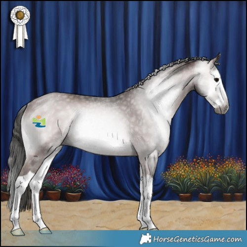 Horse Color:Gray Platinum Bay Onyx Splash Rabicano 