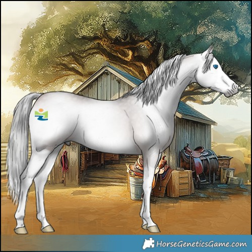 Horse Color:Gray Platinum Bay Onyx Splash Rabicano 