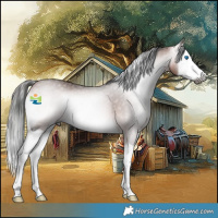 Horse Color:Gray Platinum Bay Onyx Splash Rabicano 