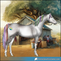 Horse Color:Gray Platinum Painted Red Onyx Rabicano