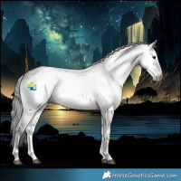 Horse Color:Gray Platinum Bay Onyx Rabicano 