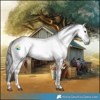 Horse Color:Gray Platinum Bay Onyx Rabicano 