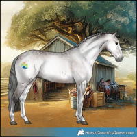 Horse Color:Gray Platinum Bay Onyx Rabicano 