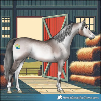 Horse Color:Gray Platinum Bay Onyx Rabicano 