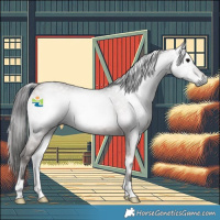 Horse Color:Gray Platinum Bay Onyx Rabicano 