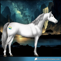 Horse Color:Gray Platinum Bay Onyx Rabicano 