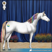 Horse Color:Gray Platinum Painted Bay Onyx Splash Rabicano 