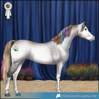 Horse Color:Gray Platinum Painted Bay Onyx Splash Rabicano