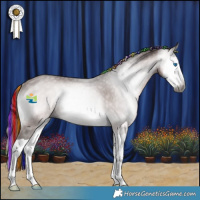 Horse Color:Gray Platinum Painted Bay Onyx Splash Rabicano 