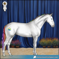 Horse Color:Gray Platinum Painted Bay Onyx Splash Rabicano