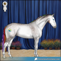 Horse Color:Gray Platinum Painted Bay Onyx Splash Rabicano
