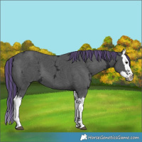 Horse Color:Painted Black Ice Splash 