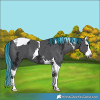 Horse Color:Painted Black Ice Splash Tobiano 