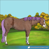 Horse Color:Painted Silver Black Ice Splash 