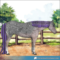 Horse Color:Painted Black Ice Tobiano