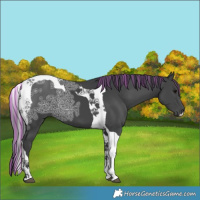 Horse Color:Painted Black Ice Tobiano