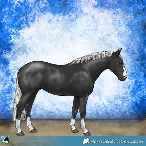 Horse Color:Liver Chestnut Mushroom 