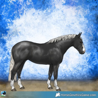 Horse Color:Liver Chestnut Mushroom 
