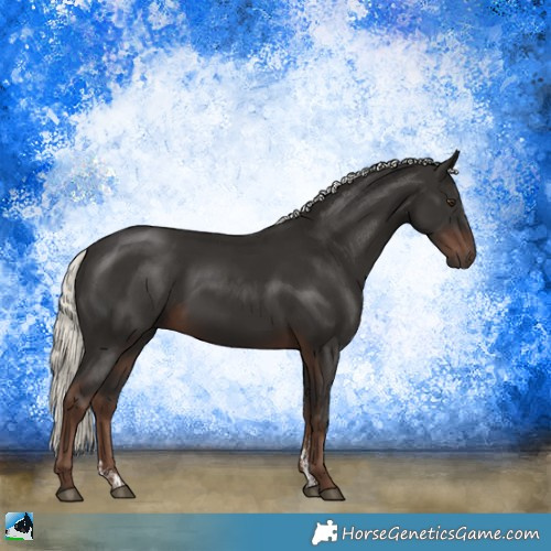 Horse Color:Liver Chestnut Mushroom Sabino