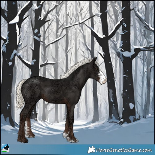 Horse Color:Liver Chestnut Ice Mushroom Sabino Rabicano 