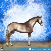 Horse Color:Liver Red Onyx Mushroom Sabino