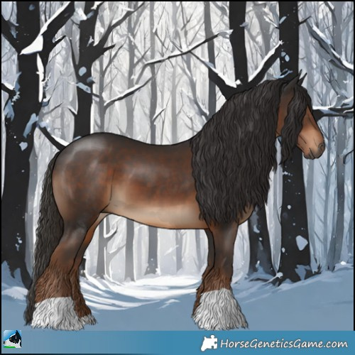 Horse Color:Gray Liver Chestnut 