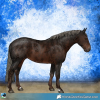 Horse Color:Liver Chestnut Ice Mushroom 