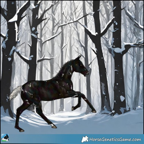 Horse Color:White Spotted Midnight Liver Chestnut Ice Mushroom 