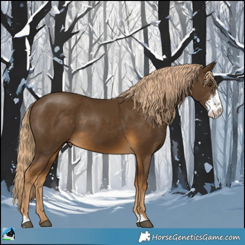Horse Color:Chocolate Palomino Mushroom Sabino 