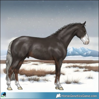 Horse Color:Liver Chestnut Mushroom Sabino Rabicano
