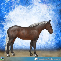 Horse Color:Liver Chestnut Mushroom 