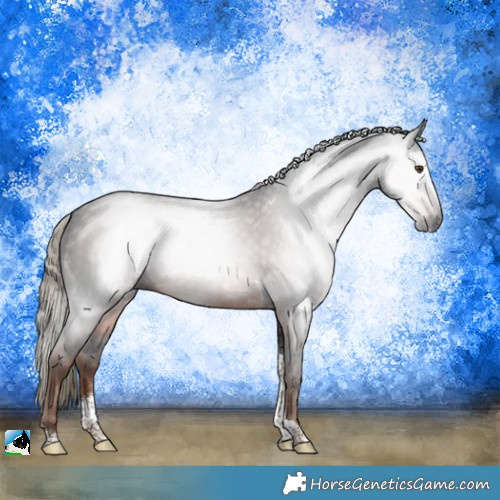 Horse Color:Gray Liver Chestnut Mushroom Tobiano 