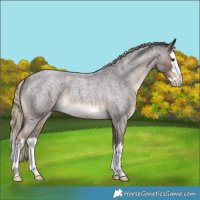 Horse Color:White Spotted Liver Red Roan Splash Varnish 
