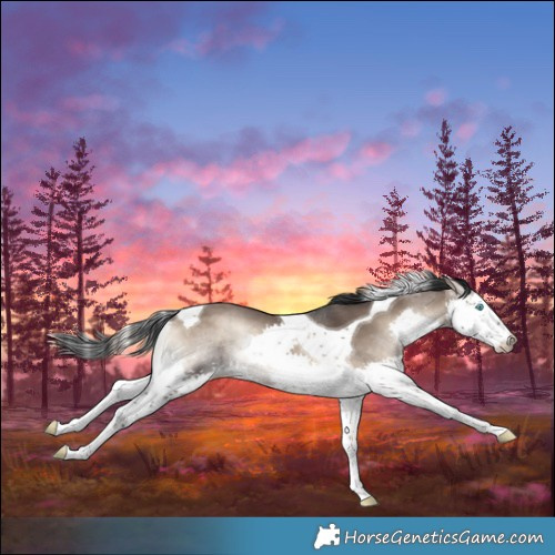 Horse Color:Brown Onyx Splash Tobiano 