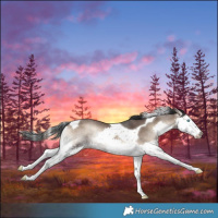 Horse Color:Brown Onyx Splash Tobiano 