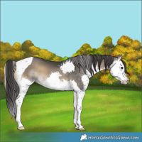 Horse Color:Smoky Blue Onyx Splash Tobiano 