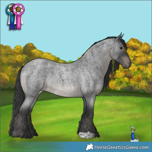 Horse Color:Blue Roan Rabicano 