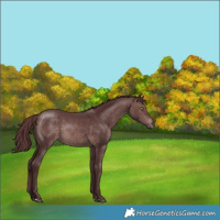 Horse Color:Platinum Chocolate Brown 