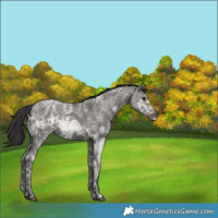 Horse Color:Smoky Grullo Ice 