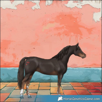 Horse Color:Liver Chestnut Tobiano 