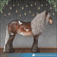 Horse Color:White Spotted Silver Brown 